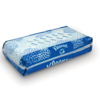 Kleeenex Facial tissues 2ply 100s soft pack – 8872000