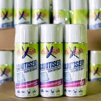 Blixem Sanitizing Indoor Air Spray – 250ml