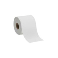 Toilet Paper 1Ply 500 Sheet Virgin 48’s – PP/05