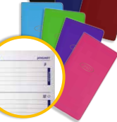 H17 2WEEKS-TO-VIEW SLIMLINE – POCKET PVC COVER – ASSORTED – 431370
