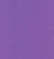 BUTTERFLY BOARD – A4 BRIGHT 160gsm (10s) PURPLE – BRD400PUR