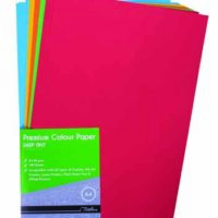 Treeline A4 Deep Tint Premium Paper 80gsm 100’s Assorted – 71-6000-30
